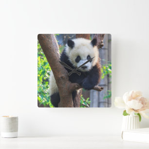 Horloge Carrée Animaux de bébés cutest Géant Panda Cub