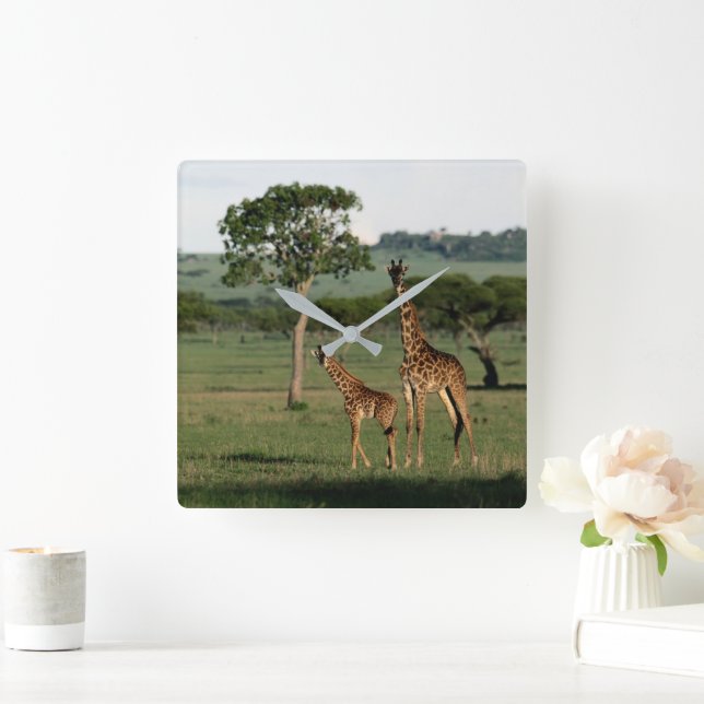 Horloge Carrée Animaux de bébés cutest | Giraffe Calf & Mama (Maison)