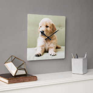 Horloge Carrée Animaux de bébés cutest   Golden Retriever Puppy