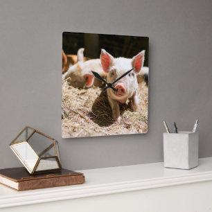 Horloge Carrée Animaux de bébés cutest   Piglet bébé mignon