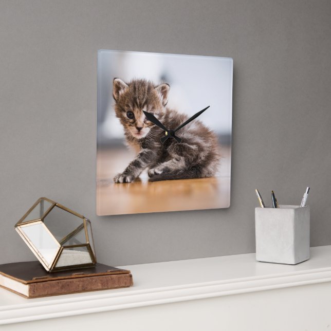 Horloge Carrée Animaux de bébés cutest | Tiny Tabby Kitten (Bureau)