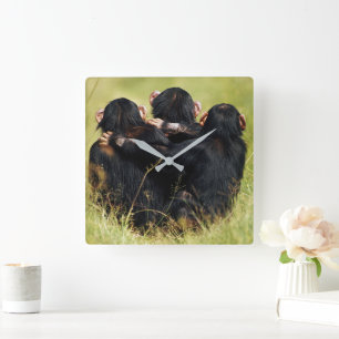 Horloge Carrée Animaux de bébés cutest   Trois chimpanzés en trai