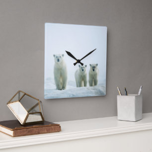 Horloge Carrée Animaux de bébés cutest   Trois jeunes ours polair