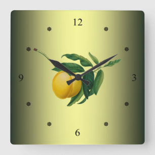 Horloge Carrée Apricot ~ Giorgio Gallesio ~ Fruit botanique ~