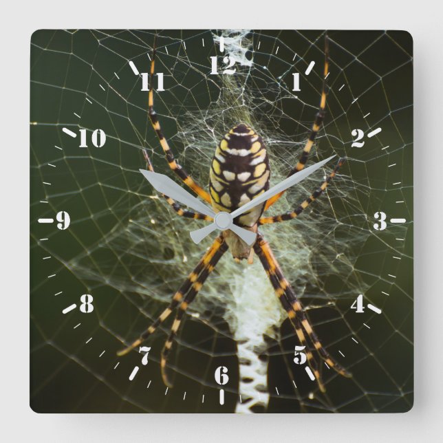 Horloge Carrée Araignée de jardin noire et jaune (Recto)