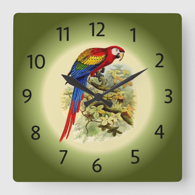 Horloge Carrée Arara macao - Ara macao - Scarlet Macaw - ~ (Recto)