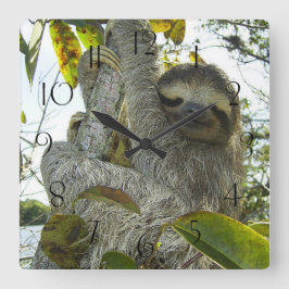 Horloge Carrée Arborescence