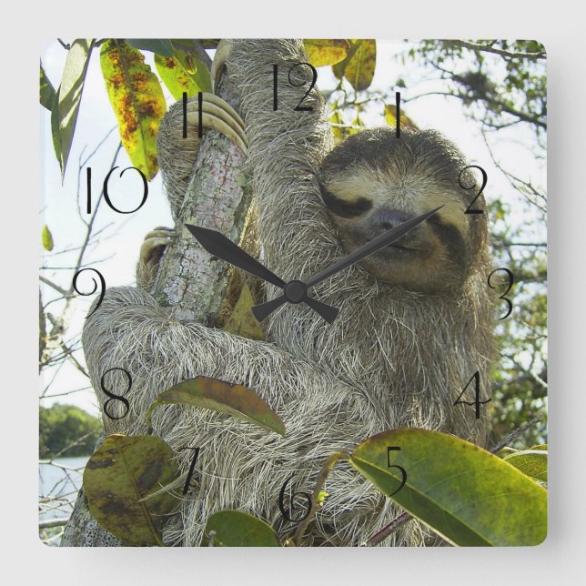 Horloge Carrée Arborescence (Recto)