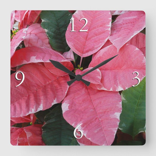 Horloge Carrée Argent Star Marbre Poinsettias Pink Holiday Floral (Recto)