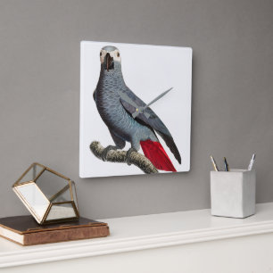 Horloge Carrée Art du perroquet gris d'Afrique – Bel oiseau exoti