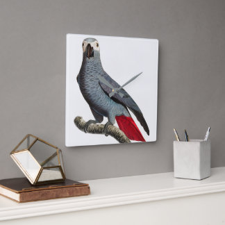 Horloge Carrée Art du perroquet gris d'Afrique – Bel oiseau exoti