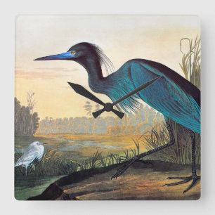 Horloge Carrée Audubon: Little Blue Heron