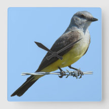 B45 Kingbird occidental