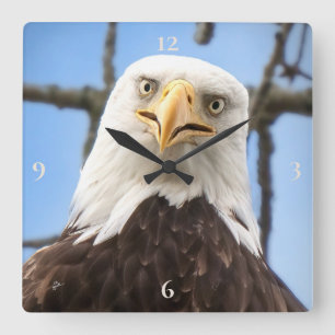 Horloge Carrée Bald Eagle Face Drôle Beaux Art Photographie