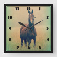Bay Horse Standing