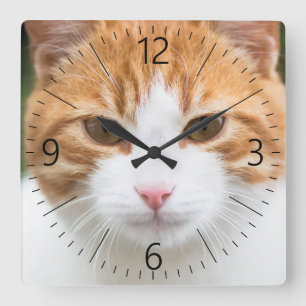 Horloge Carrée Beau chat rouge