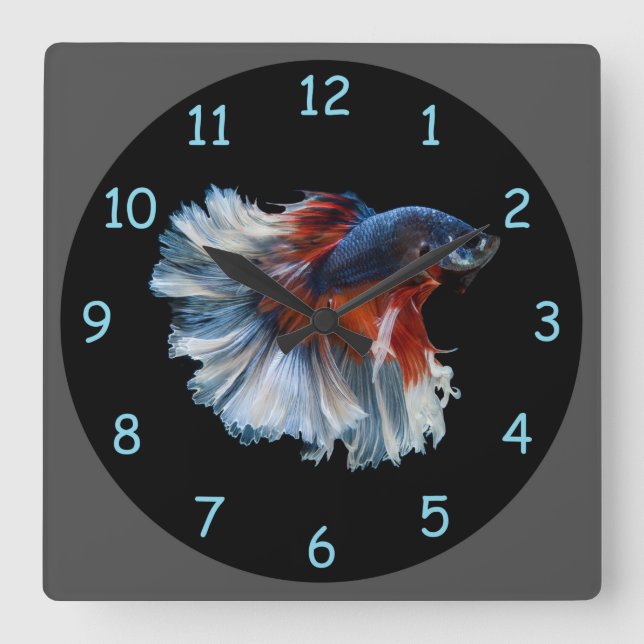 Horloge Carrée Beau poisson Betta Siamese (Recto)