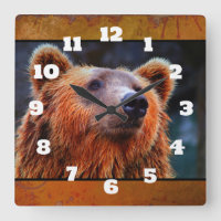 Beau Portrait d'ours Brown Faune Photo