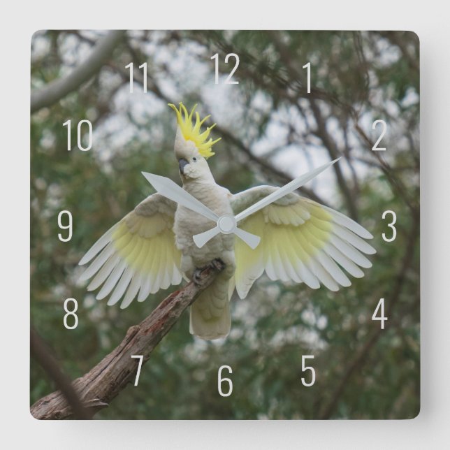 Horloge Carrée Beautiful Cockatoo Bird Parrot (Recto)