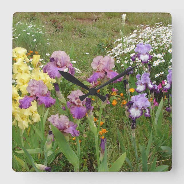 Horloge Carrée Belle Iris Fleur violet Fleur Photo (Recto)