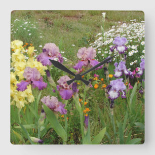 Horloge Carrée Belle Iris Fleur violet Fleur Photo