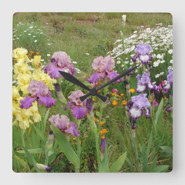 Horloge Carrée Belle Iris Fleur violet Fleur Photo (Recto)