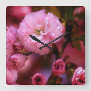 Horloge Carrée Belles fleurs de cerisiers rose printemps