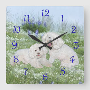 Horloge Carrée Bichon Frise Bleuets