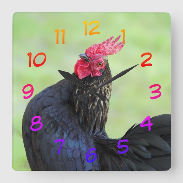 Horloge Carrée Black Rooster (Recto)