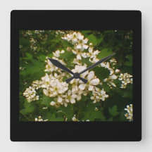 Blackberry Blossom