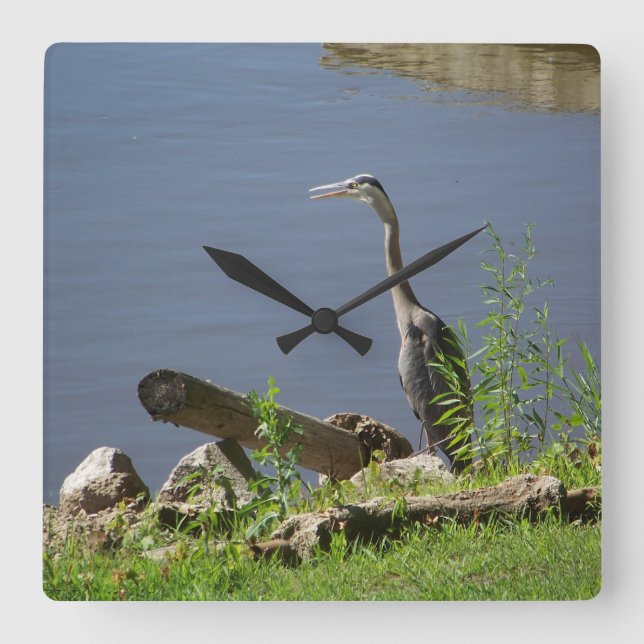 Horloge Carrée Blue Huron (Recto)