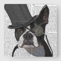 Boston Terrier, Formal Hound et Casquette