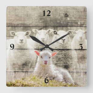 Horloge Carrée Boudin rustique Agneau de bébé Burlap Carré Horlog