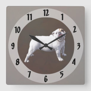Horloge Carrée Bouledogue Fier