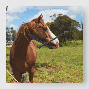 Horloge Carrée Brown Chestnut Horse Needs Hairdryer