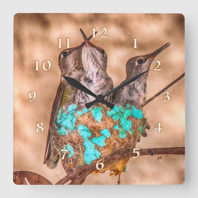 HORLOGE CARRÉE BUSTING LOOSE DES BÉBÉS HUMMINGBIRD (Recto)