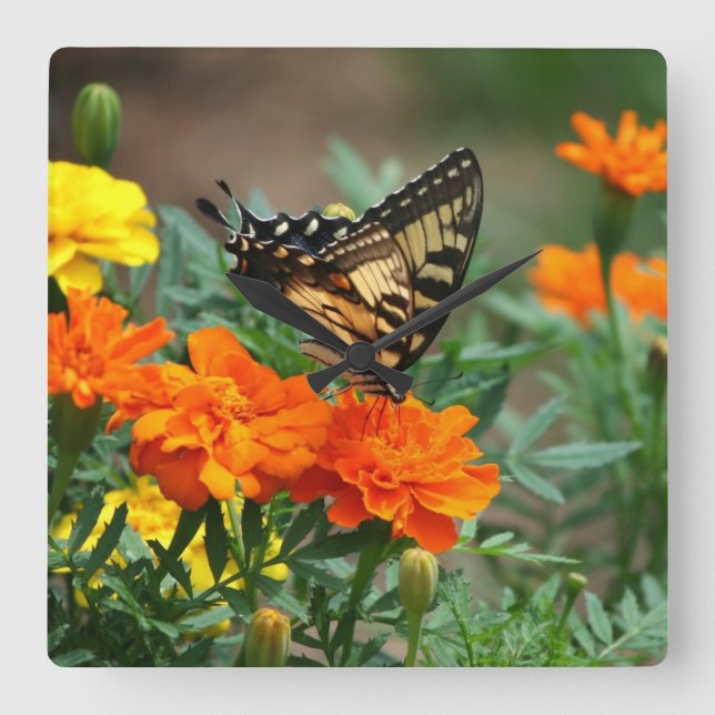 Horloge Carrée Butterfly on Orange and Yellow Flowers Wall Clock (Recto)