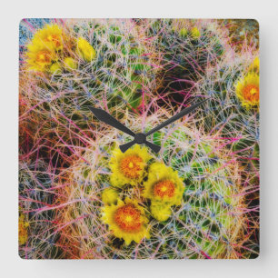 Horloge Carrée Cactus tonneau en gros plan, Californie