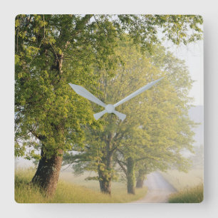 Horloge Carrée Cades Cove  Great Smokey Mountains, TN