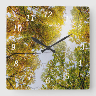 Horloge Carrée Cadran mural Lumière du soleil à travers les érabl