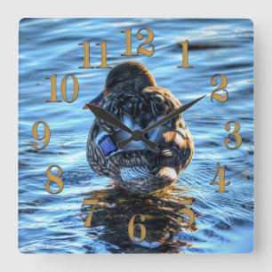 Horloge Carrée Canard de Mallard dans la rivière Winter - Photo F