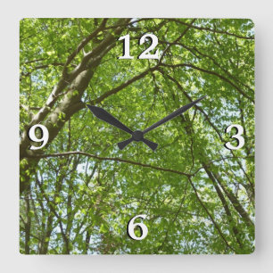 Horloge Carrée Canopée du printemps Feuille Green Nature Scene