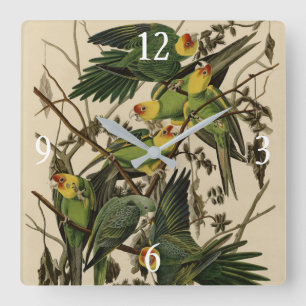 Horloge Carrée Carolina Parrot de Audubon's Birds of America