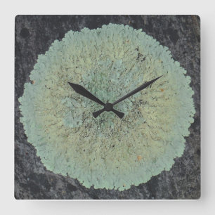 Horloge Carrée Cercle Lichen Mossy