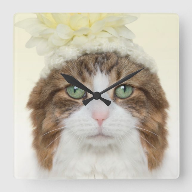 Horloge Carrée Chat Avec Casquette Fleur (Recto)