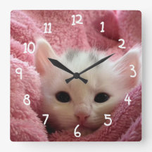 Chat blanc en rose