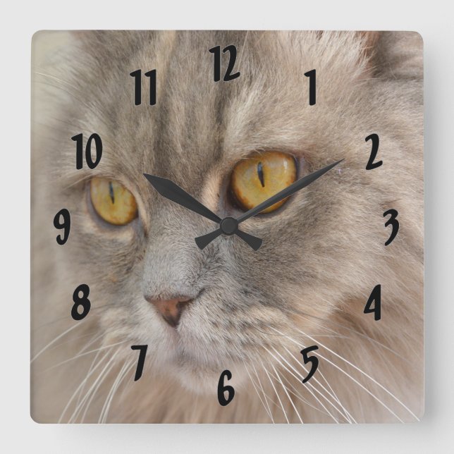 Horloge Carrée Chat perse gris yeux doré (Recto)