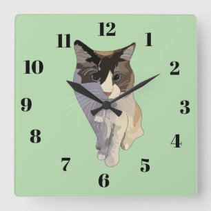 Horloge Carrée Chat ragdoll, vert pastel, vitrail