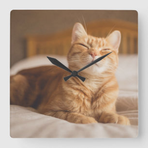 Horloge Carrée Chat somnolent des images   de Getty