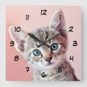 Horloge Carrée Chaton mignon avec les yeux bleus